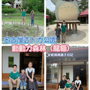 media 3