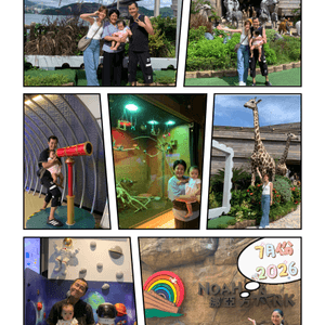 media 3