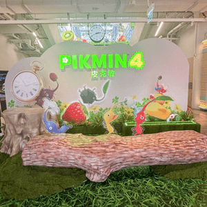 media 6