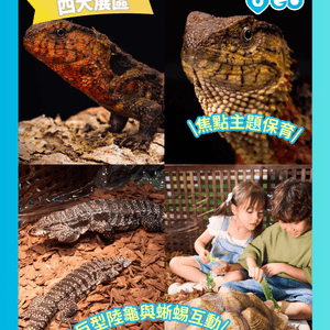media 6