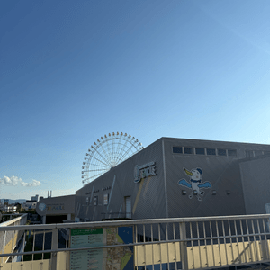 media 3