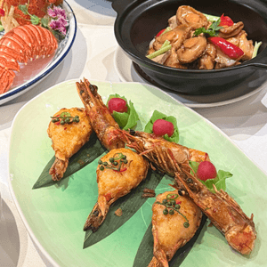 media 6