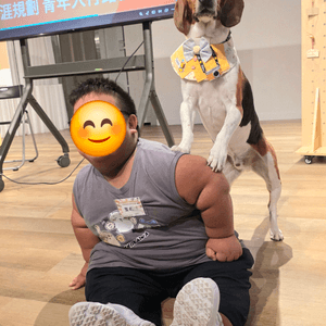 media 6