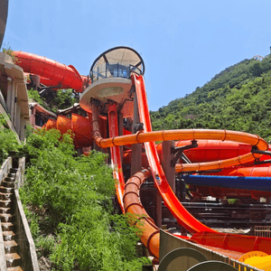 media 6