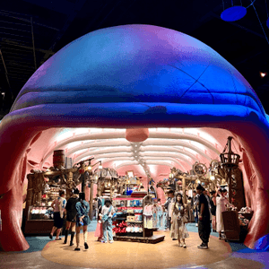 media 4