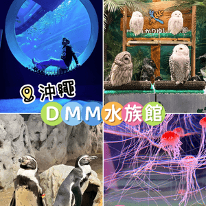 沖繩親子必收藏，DMM互動型水族館，室內爽玩大半天