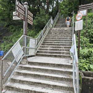 media 6