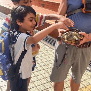 可愛烏龜🐢🥰 