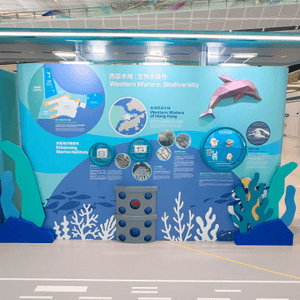 機場發展與自然共存故事🌊✈️