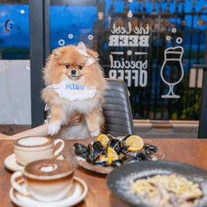 ☕️大埔村屋驚喜☕️嘆咖啡🐱🐶📸