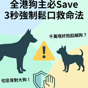 ⚠️全港狗主必Save！大狗咬住唔放點算？打頭、硬拉全錯！教你「3秒強制鬆口」救命法🚨