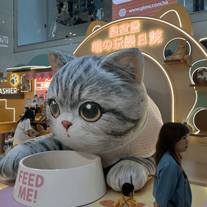 貓奴天堂！🤩🐾