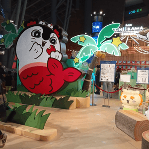 media 7