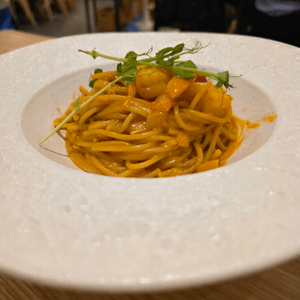 media 5