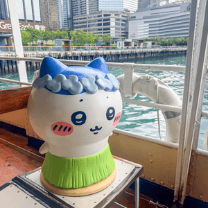 media 5