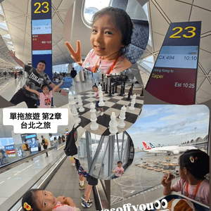 暑假限定之台北親子遊 👨‍👧✈️🐼🐝🦫🐻
