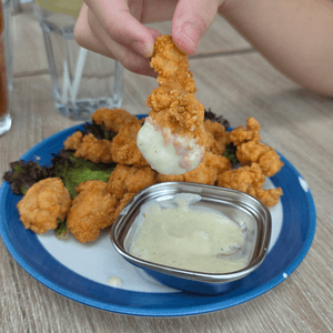 media 5