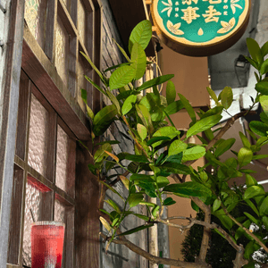 大圍必去！高質感懷舊茶室🍵