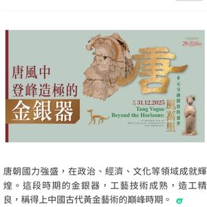 唐風中登峰造極的金銀器