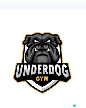 動態訓練和修復課程with dog