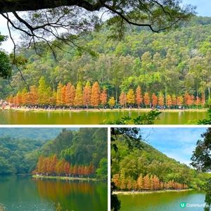 冬日限定熱門行山路徑 — 流水響