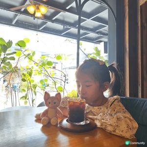 深圳荷蘭花卉公園🌷！一家大細，情侶，朋友都岩去？📸