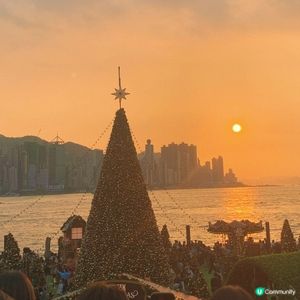 西九文化區｜假日好去處⛱️