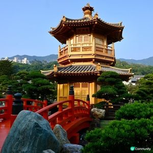 鬧市尋幽🌿南蓮園池古意盎然