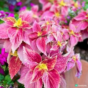 北區公園：古今樂園任你玩！🤩