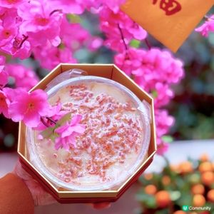 賀年糕點又一好選擇!