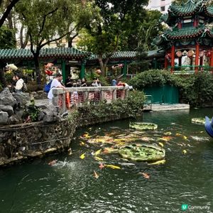 餵魚勝地🐟 靚景打卡📸