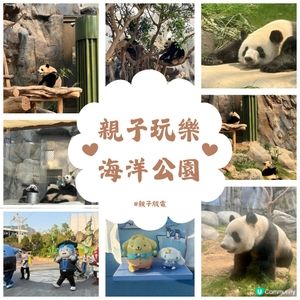 親子活動：海洋公園睇熊貓 家姐細佬😍🐼