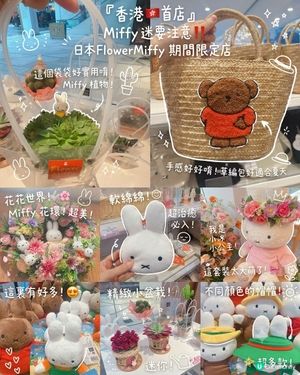 Miffy迷要注意❗️日本期間限定店登陸銅鑼灣