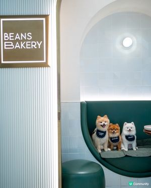 將軍澳室內寵物友善cafe｜性價比極高