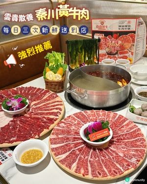 深圳潮汕牛肉火鍋之旅🍲