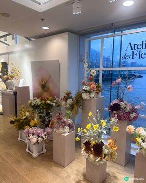 Chloé Atelier des Fleurs 💐