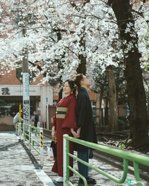 東京和服賞櫻🌸浪漫婚攝秘景📸