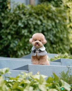 香港文青打卡好去處-瓊林街🤍💚