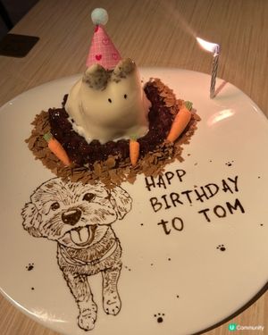 媽媽生日驚喜🎉  哈豆畫碟神似🐶