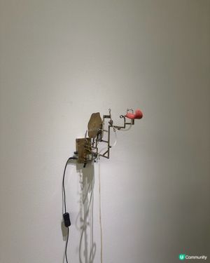 沉浸式感官盛宴！🤩《感官怪奇:走進的世界》等你探索！