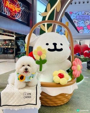 💛YOHO「線條小狗夏日心友會」！