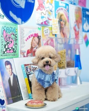 ఇ觀塘Y2K風格冬甩店🍩💙