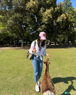 奈良公園餵鹿記 🦌！ 鹿仙貝攻略 🍘！