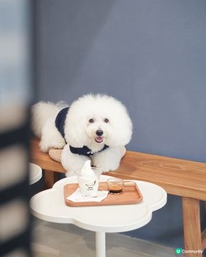 怪獸大廈新Cafe！毛孩友善🐶🍦 夏日必試！