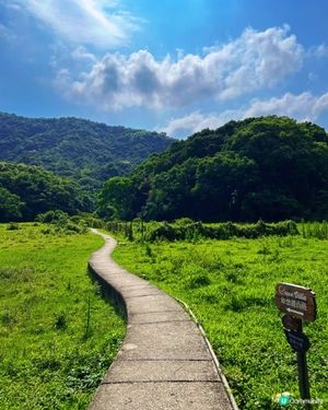 荔枝窩一日遊！行山睇靚景🏞️，打卡一流📸！