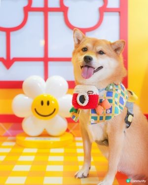 Wiggle Wiggle 港式主題