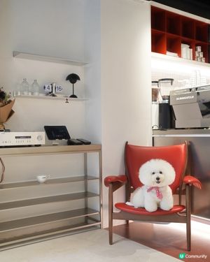 新開韓風咖啡店☕️ 奴才帶你去🐶😋