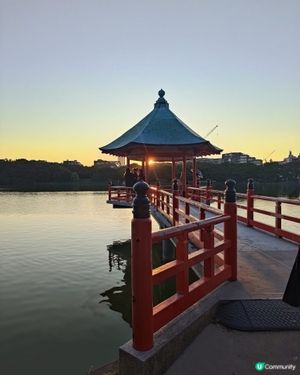 大濠公園日落🌅！日式庭園超靚😍！ 
