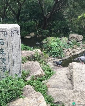 預防蚊蟲好幫手