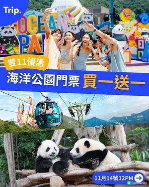 【雙11狂賞】海洋公園買一送一！🎢🤩 玩到癲！